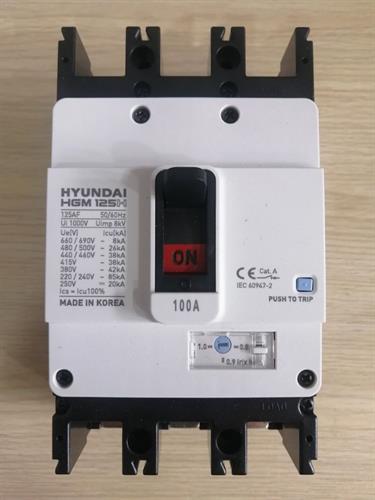 MCCB HYUNDAI 3P 100A 38kA ( HGM125H-F )